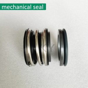 Seepex screw pump Mechanical seals